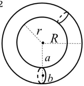 Torus