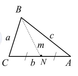 Diagram of a triangle showing a median connecting a vertex to the midpoint of the opposite side.